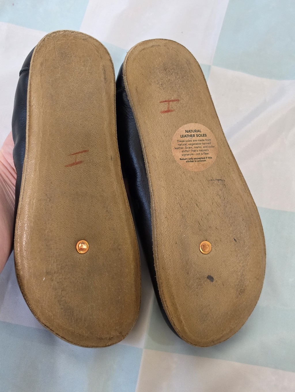 Earthing Harmony Grounding & Earthing Barefoot Ballet Flats 39 — image 8 of 8